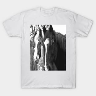 Pair of Horses T-Shirt